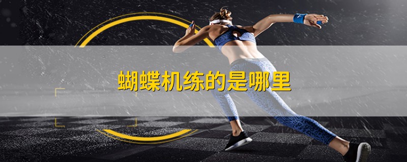 蝴蝶机练的是哪里
