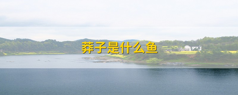 莽子是什么鱼