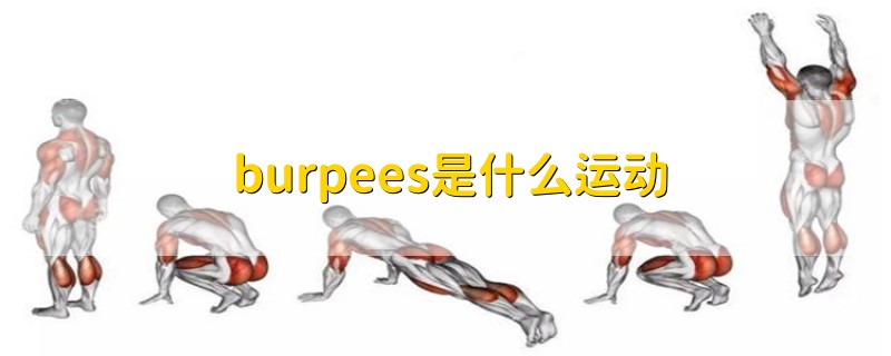 burpees是什么运动