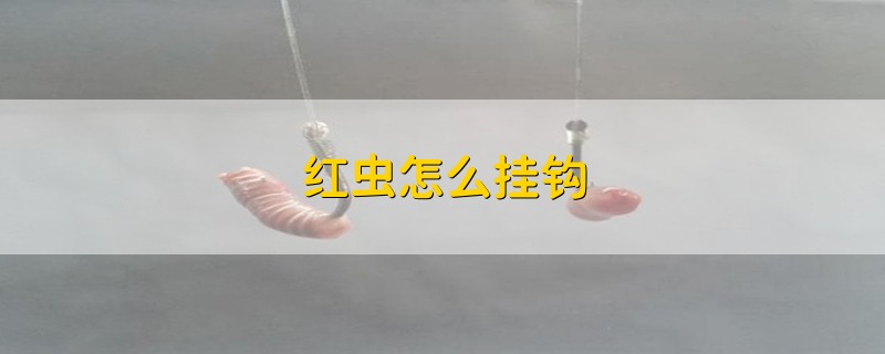 红虫怎么挂钩