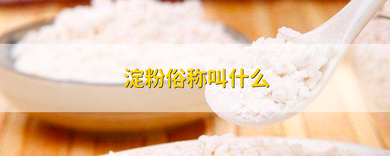 淀粉俗称叫什么