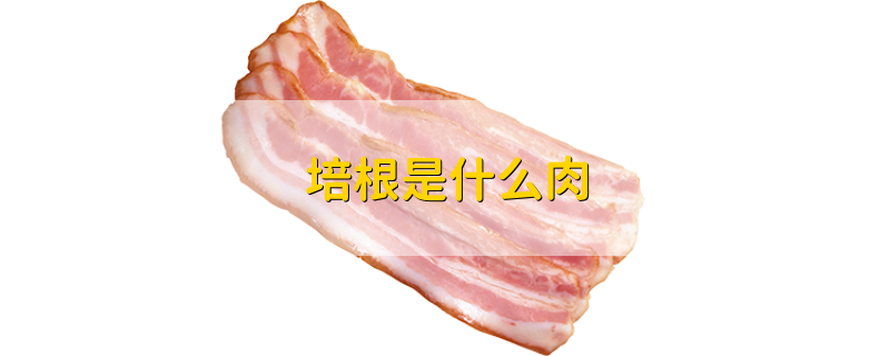 培根是什么肉