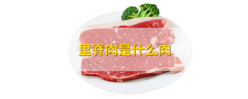 里脊肉是什么肉