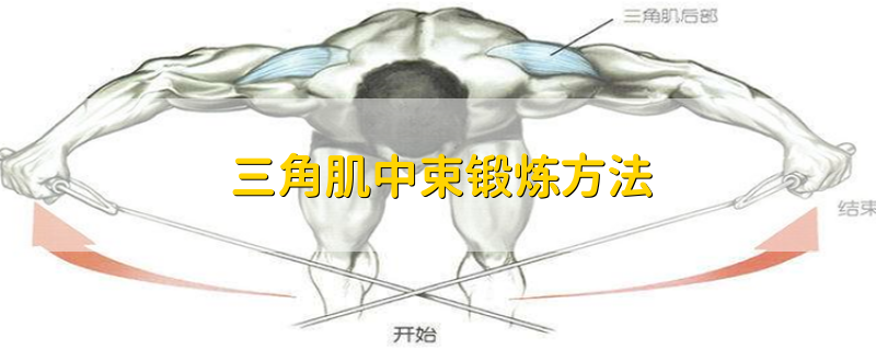 三角肌中束锻炼方法