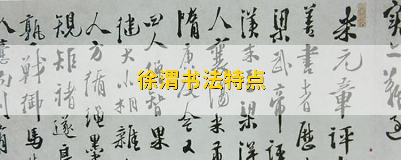 徐渭书法特点