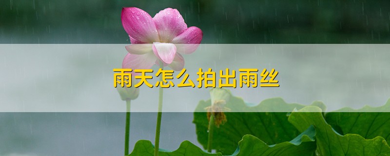 雨天怎么拍出雨丝